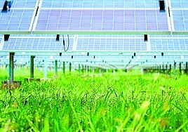 Los cambios afectan a los sistemasagrovoltaicos de modo positivo.