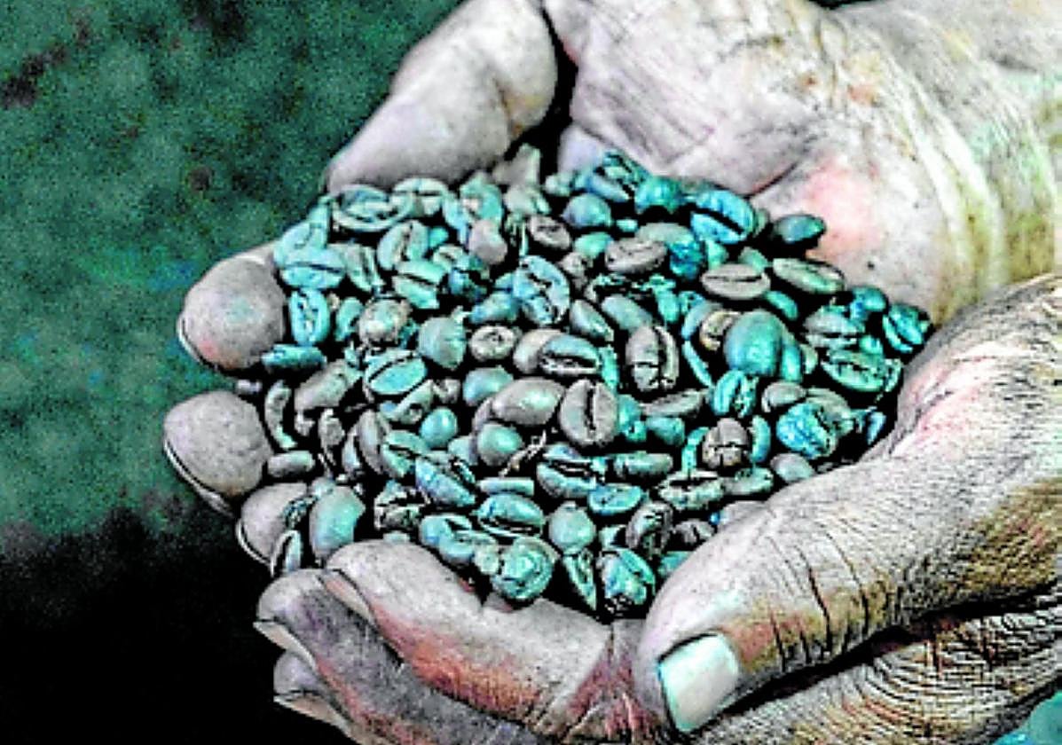 El café, el agua y la cerveza sin alcohol disparan sus precios en verano