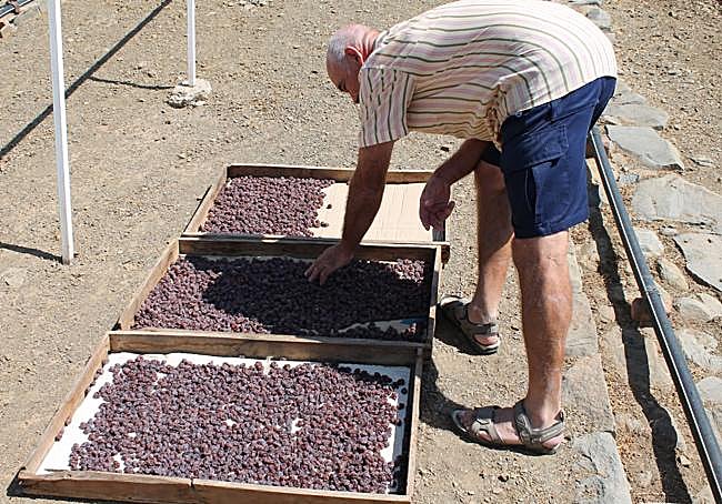 Trabajo en el pasero.