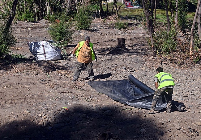 Extensión de las mantas contra las cañas bravas.