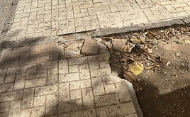 Vista de bordillos rotos en la calle denunciada.
