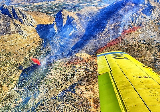 Imagen del lugar donde se ha producido el incendio, en Alcaucín.