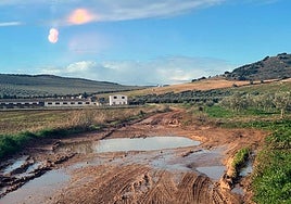 Uno de los espacios afectados durante las danas.