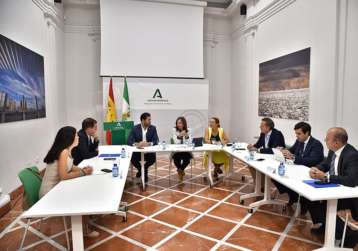 Los promotores de Málaga piden a la Junta de Andalucía más medidas para ...