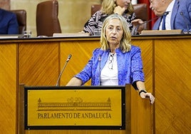 La consejera de Salud, Rocío Hernández.