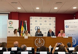 La Junta defiende su apuesta por la mediación en Andalucía de la mano de los graduados sociales