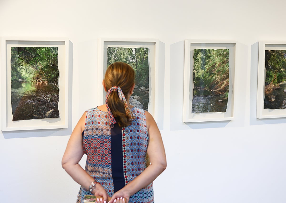 Imagen secundaria 1 - La Malagueta da la alternativa a la fotografía malagueña contemporánea