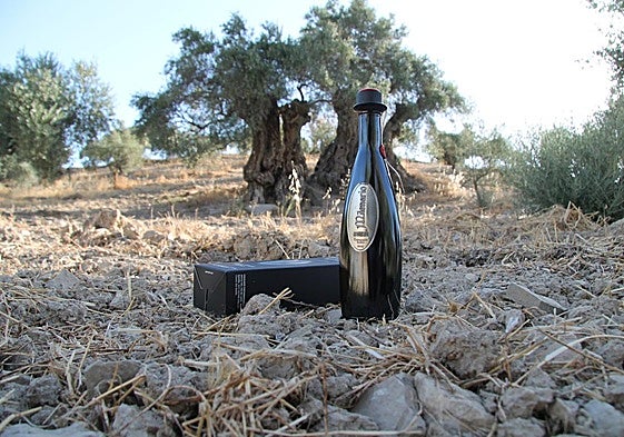 Aceite de oliva virgen extra elaborado con aceitunas de éste y otros olivos monumentales de su entorno.