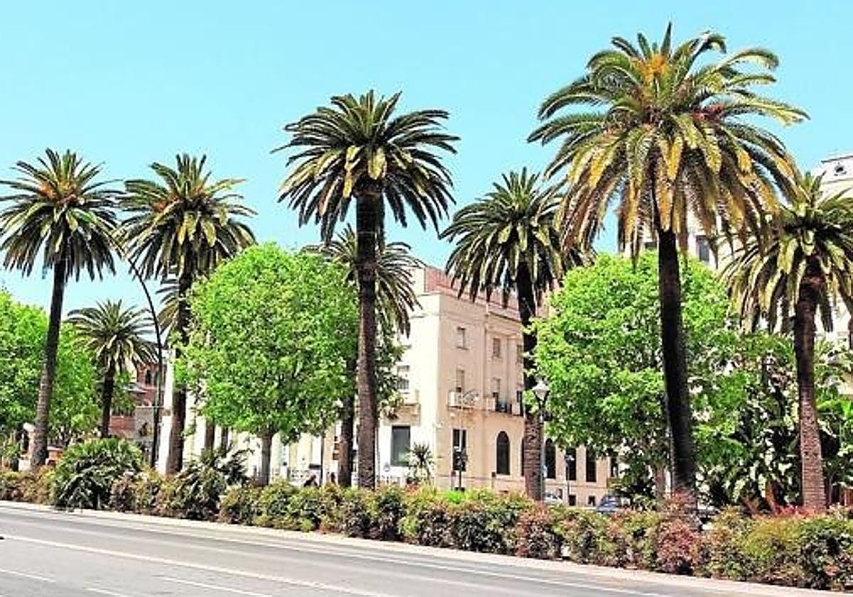 El Paseo del Parque, cerrado al tráfico el domingo