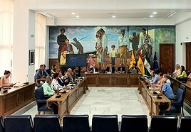 La Corporación Municipal de Rincón de la Victoria reunida en pleno.