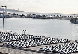 Coches nuevos de importación, esperando en el muelle 4 para su traslado a los concesionarios.