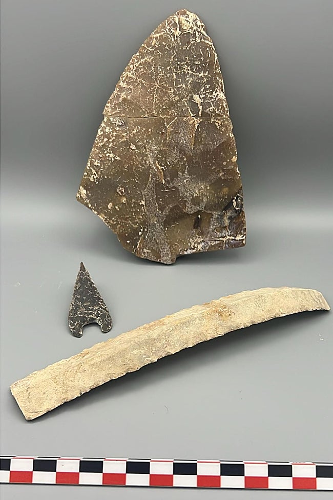 La gran alabarda que alcanza los 15 centímetros de hoja.