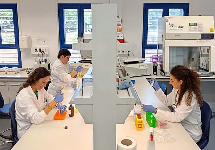 Parte del equipo de investigadores del proyecto.