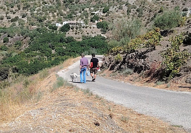 Imagen de una de las zonas en las que se está desarrollando la batida de este sábado en Canillas de Aceituno.
