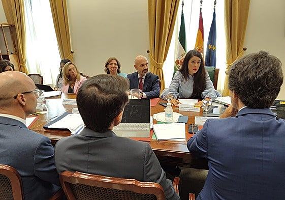 La secretaria general de Movilidad Sostenible, en un momento de la reunión.