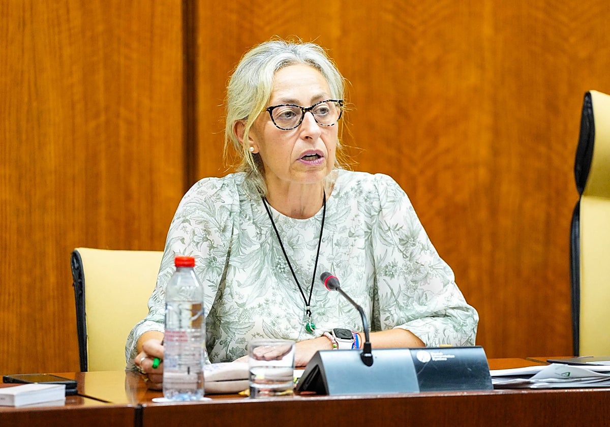 La consejera, durante su comparecencia ante la Comisión de Salud del Parlamento andaluz.