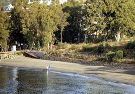 Tramo de senda litoral en Estepona.