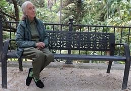 Jane Goodall: lo que le gusta de Málaga y lo que no