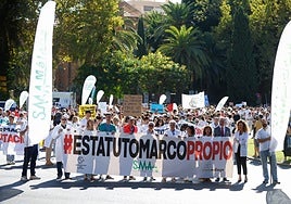 Imagen de la cabeza de la manifestación, con el Hospital Noble de fondo.