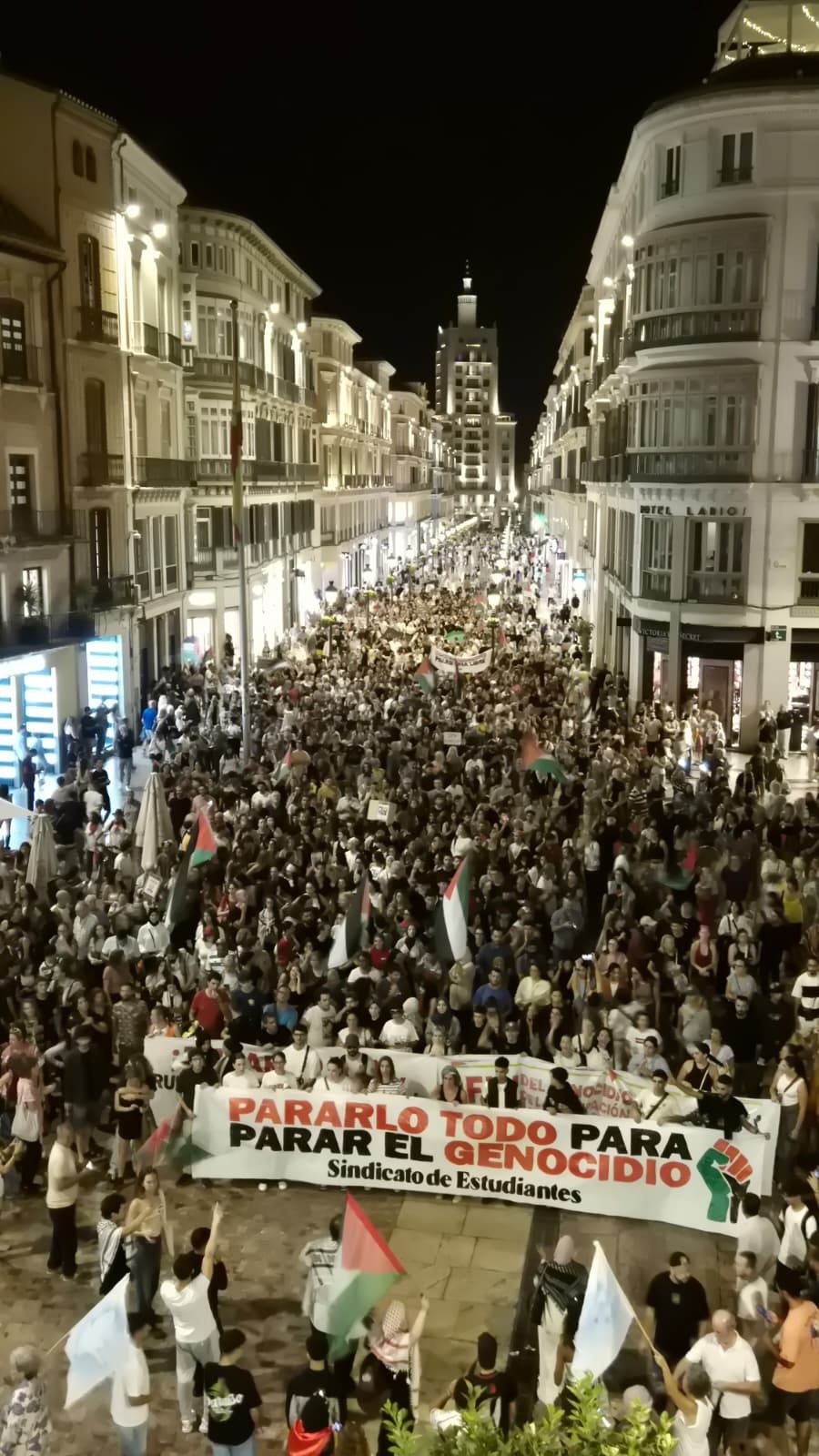 La protesta en Málaga por la flotilla de Gaza, en imágenes