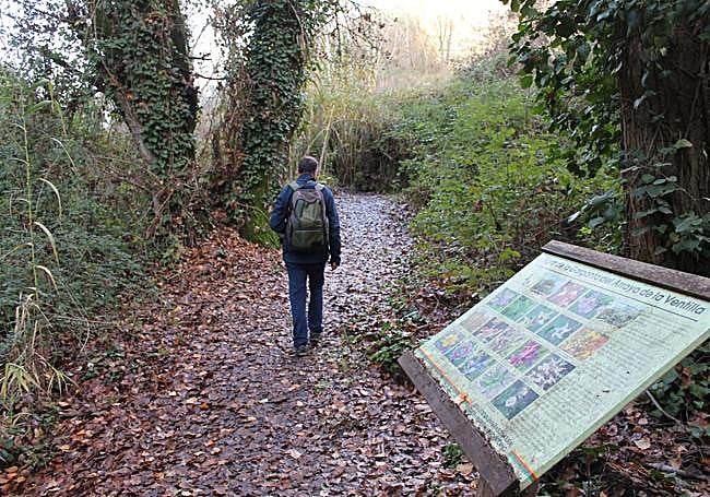 Ruta por el arroyo de la Ventilla.