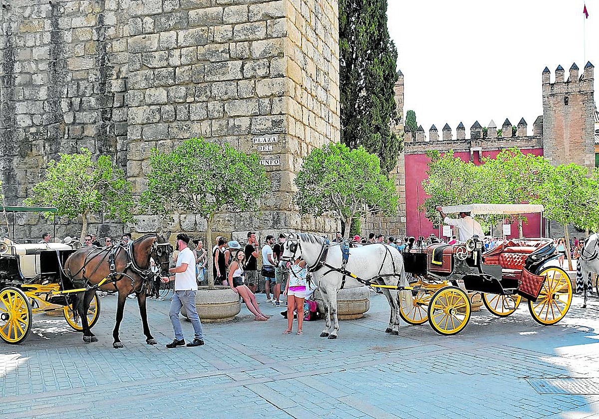 Coches de caballo en Sevilla.