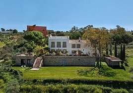 LA Almazara: una propuesta de autor para vivir desde dentro la elaboración del AOVE