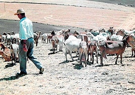 El oficio de pastor esuno de los más antiguos del mundo.