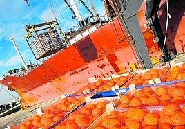 A lo largo de este mes de octubre ya se comenzarán a ver naranjas y mandarinas cosechadas en Andalucía enfruterías y supermercados de todo el territorio nacional.