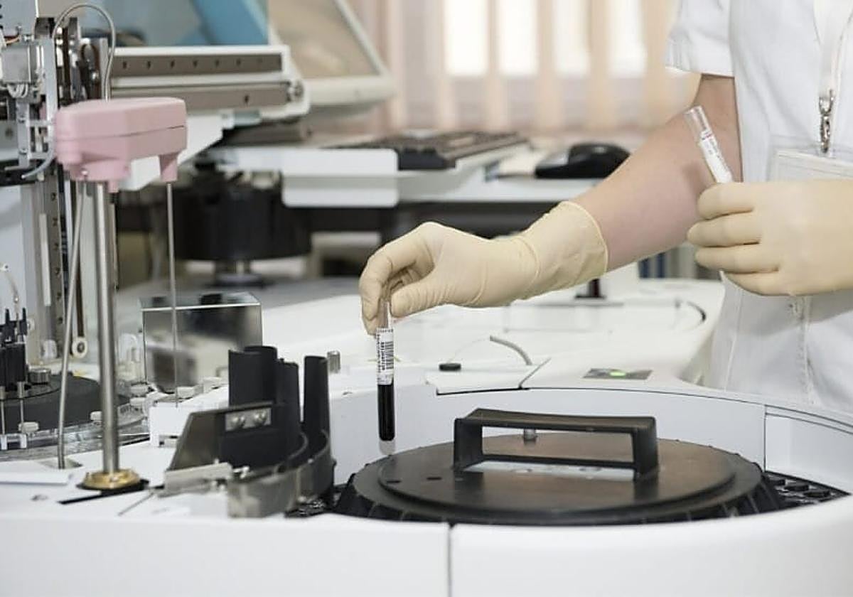 Neurocientíficos destacan el valor estratégico de «investigar el cerebro»