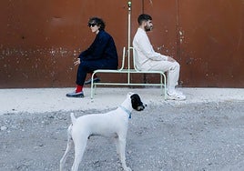 ¿Teatro, performance o literatura? 'Parque' lleva al Cánovas la escritura en vivo