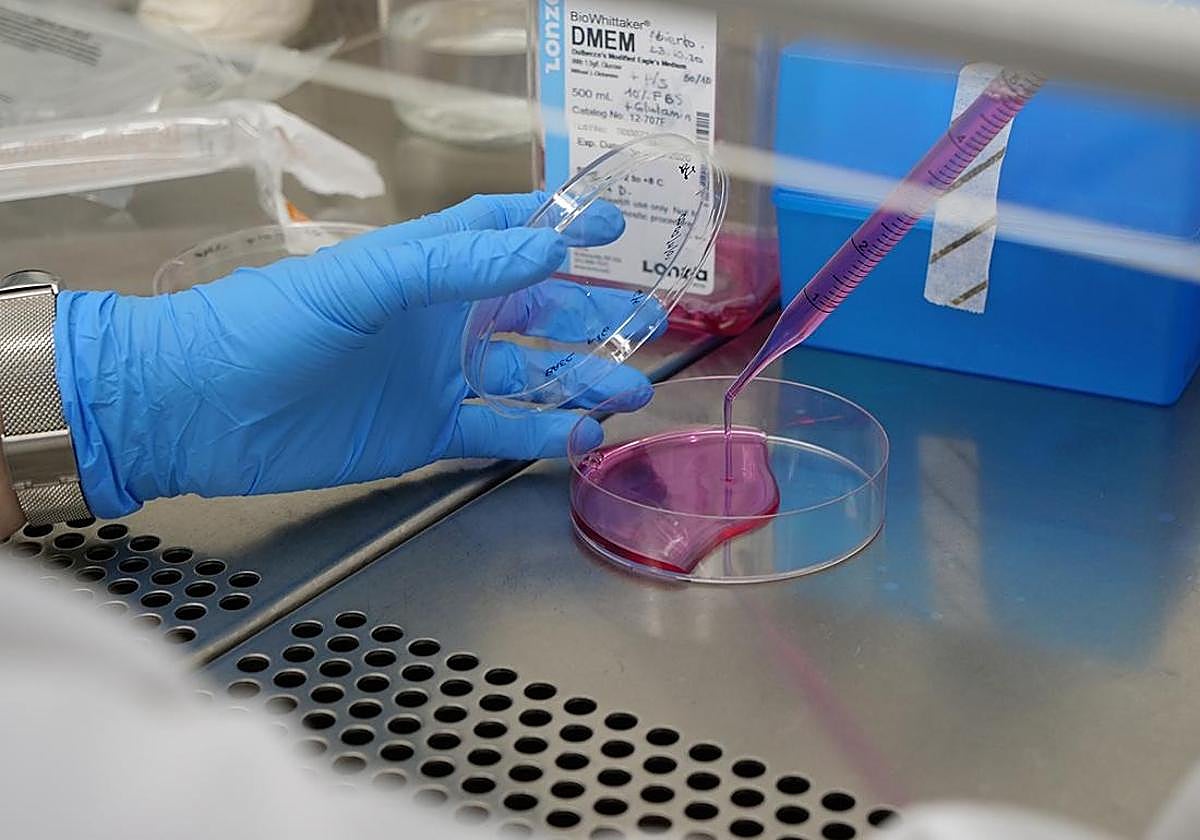 501 investigadores de las universidades públicas andaluzas, entre los más influyentes del mundo