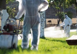 El refuerzo de las medidas de prevención frena al virus del Nilo este año sin víctimas mortales