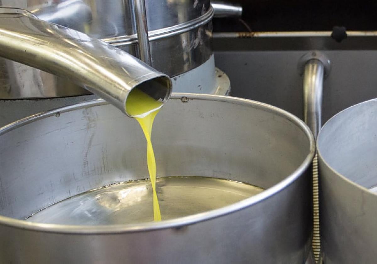 Exprimidora de aceite de oliva en una almazara.