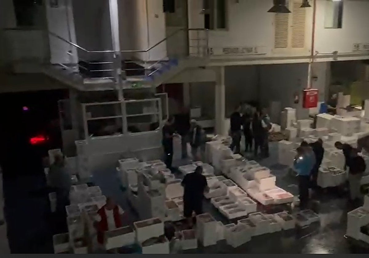 La nave de pescados, esta madrugada con las luces de emergencia.