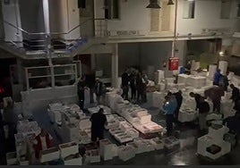 La nave de pescados, esta madrugada con las luces de emergencia.