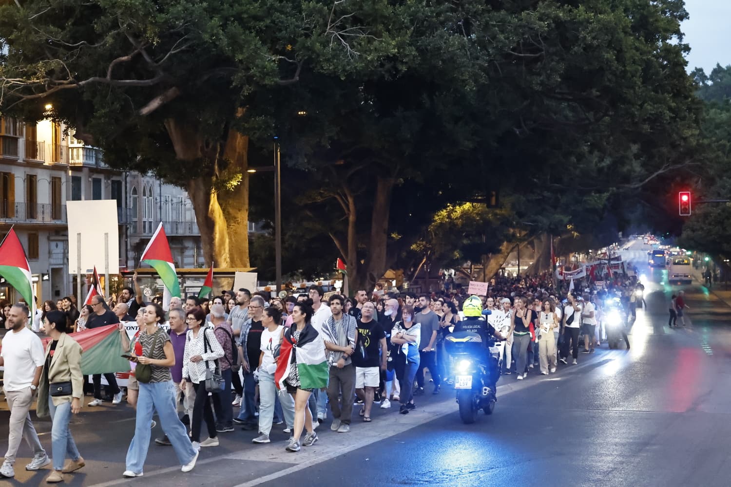 Manifestación por Palestina en Málaga