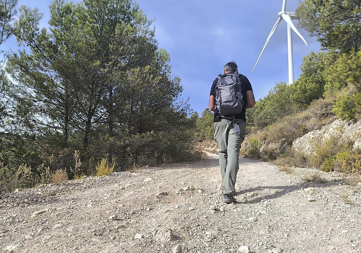 Parte del camino se hace junto a un parque eólico