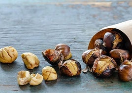 Las castañas, el primer síntoma del otoño