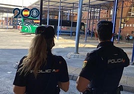Rompe una botella de cristal en la cabeza a una mujer sin mediar palabra en la estación de autobuses de Málaga