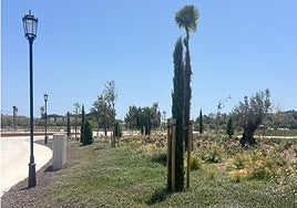 Zona verde en el Gran Parque de Mijas.