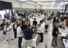 Las mejores fotos de SUR Wines & Gourmet 2025