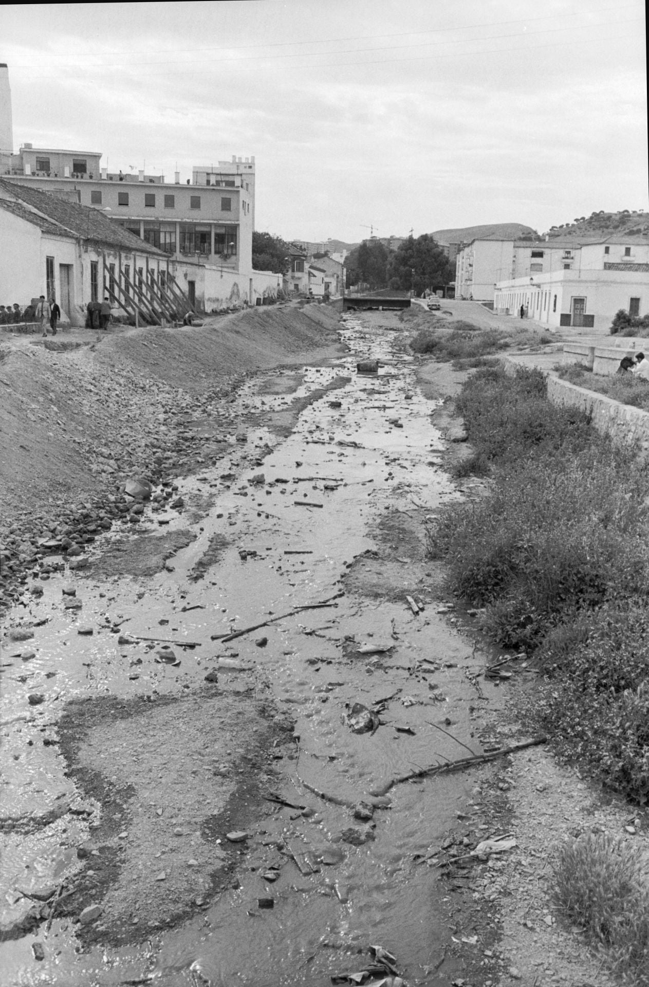Foto: Fondo Bienvenido Arenas. Archivo Histórico Fotográfico UMA