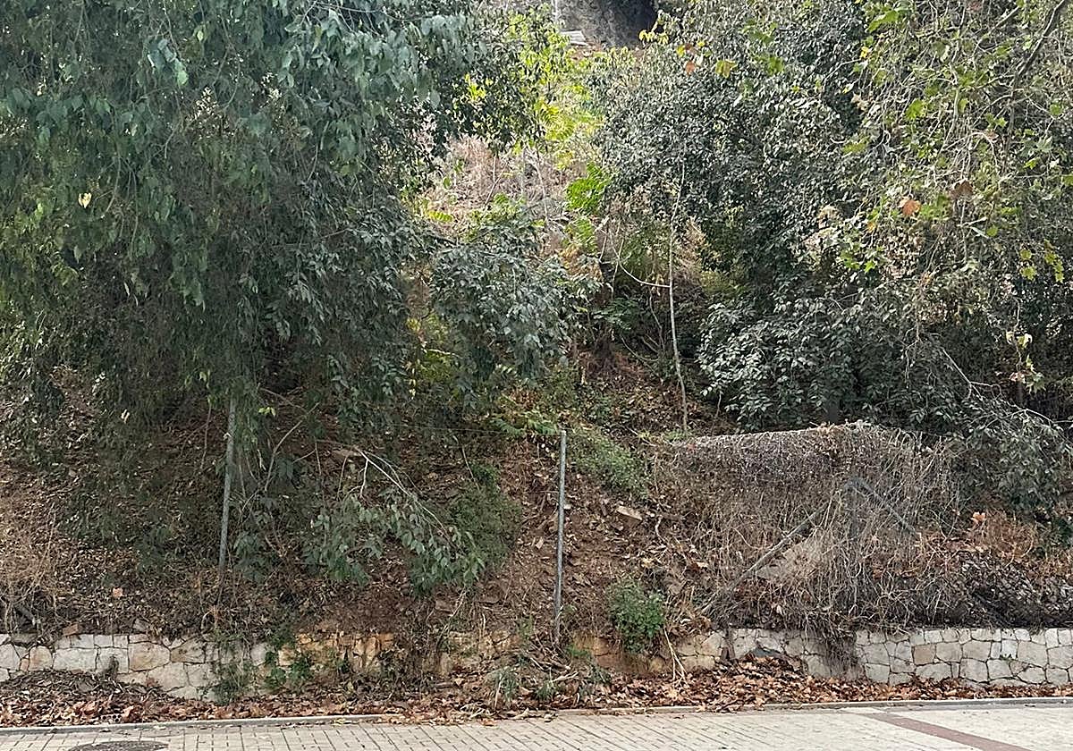 Una de las zonas con brozas y hojas.