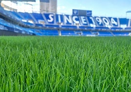 Panorámica del césped de La Rosaleda, justo después de la última resiembra.