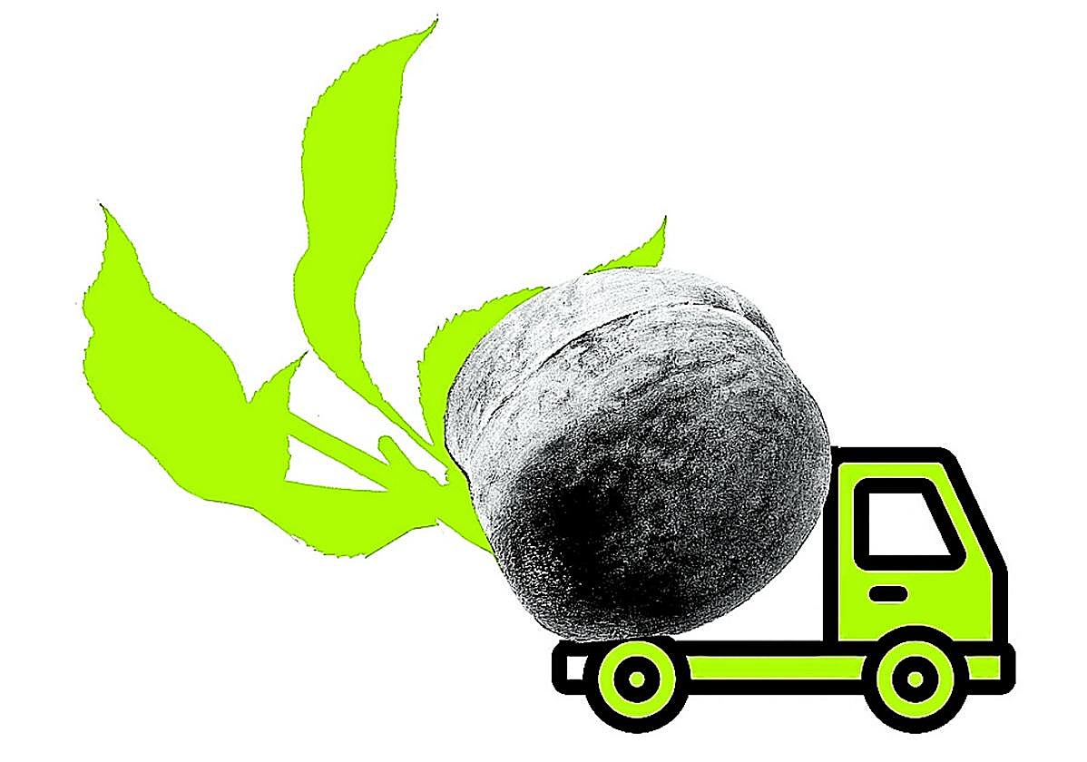 ¡Viva Calanda, viva la libertad!