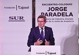 Jorge Paradela: «El tercer hospital y la ampliación del aeropuerto de Málaga no tienen asegurada aún la potencia eléctrica»