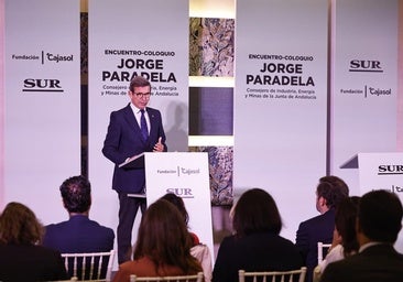 El consejero de Industria y Energía debate sobre la escasez de redes eléctricas en Málaga