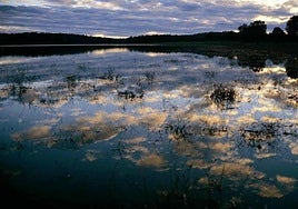La Laguna de la Alberca, en Ronda.