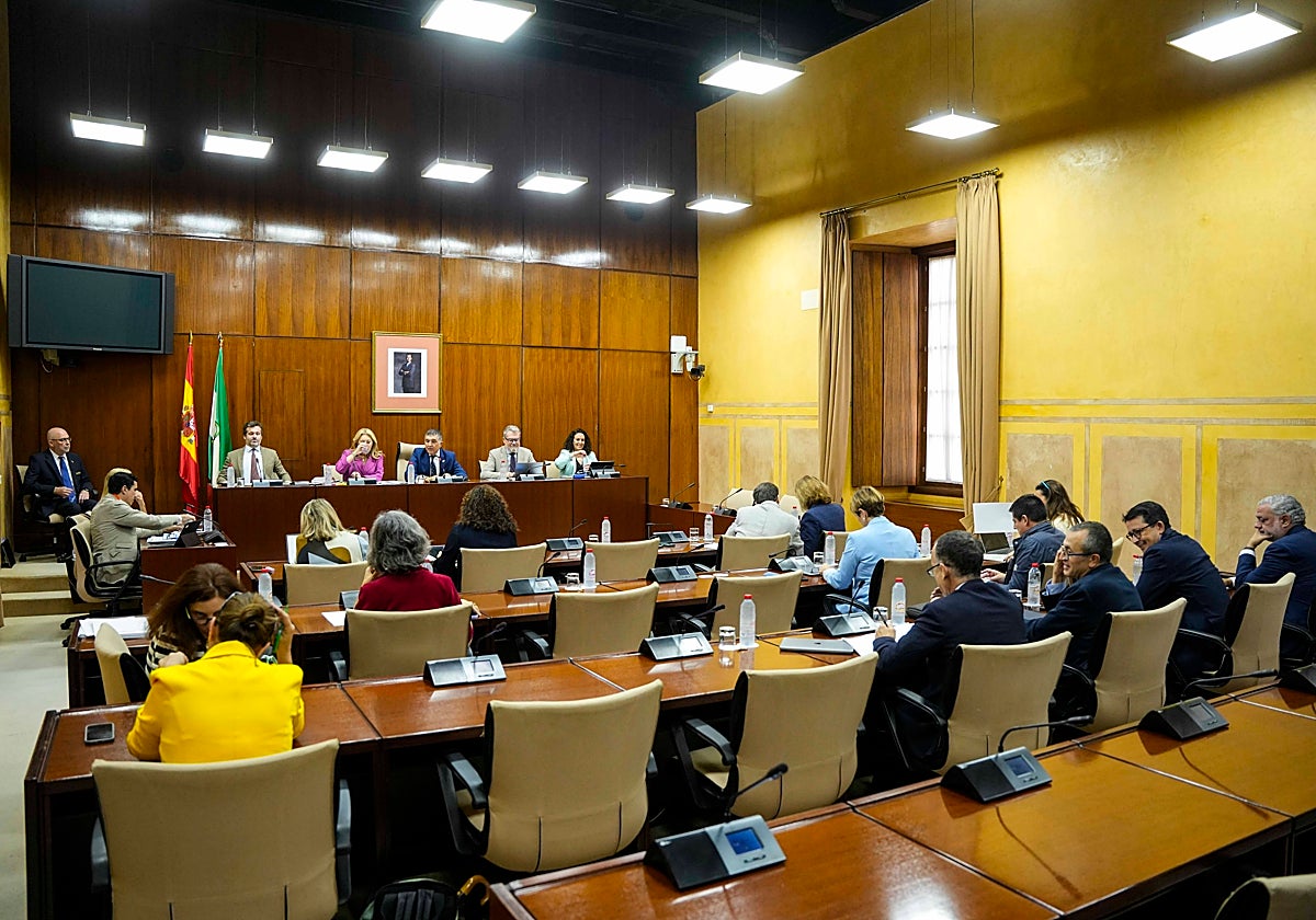 Sesión de hoy de la Comisión de Economía del Parlamento andaluz.